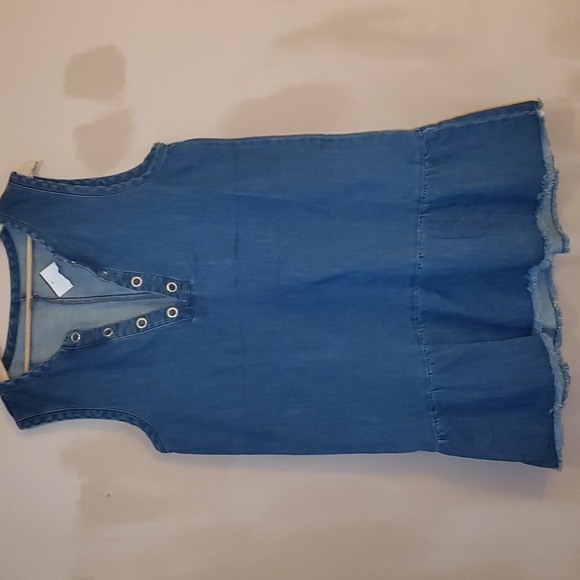 Aerie Women's Denim Dress - Picture 1 of 7